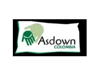 Logo de Asdown
