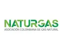 Logo de Naturgas